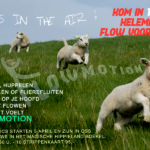 Flowmotion Oss